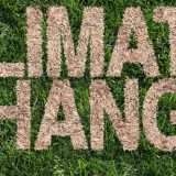 Chatbot AI del Washington Post risponde a domande sul clima