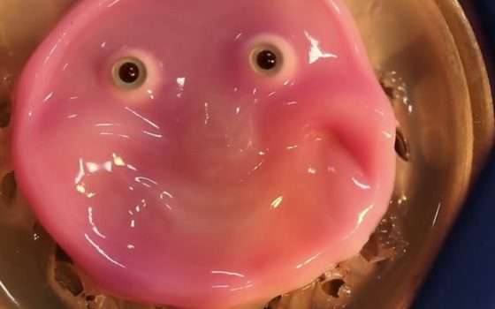 Nuova pelle artificiale per robot che si autoripara