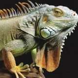 Amazon Titan v2: nuova versione del generatore di immagini AI