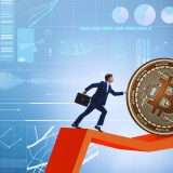 Bitcoin: terrore generale, ma c'è chi spera nei $100K a fine 2024