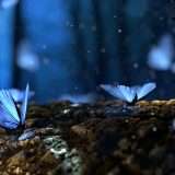 10 strumenti AI per il design che valorizzano la creatività