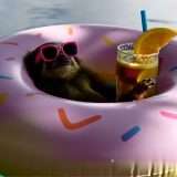 Movie Gen di Meta per generare video AI, cos'è e 5 esempi impressionanti