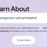 Google lancia Learn About: piattaforma di apprendimento AI