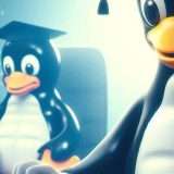 Linux 6.13 introduce nuove astrazioni di file per il linguaggio Rust
