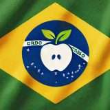 Apple non deve modificare App Store in Brasile