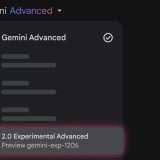 Gemini-Exp-1206, disponibile per gli abbonati Advanced