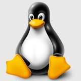 Linux 6.13 RC 2: la seconda release candidate con diverse correzioni
