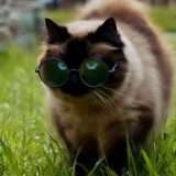 Generatore video AI Hunyuan di Tencent supera Sora?