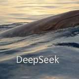 DeepSeek ha usato i dati di OpenAI: ci sono le prove