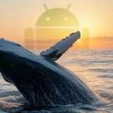 DeepSeek spopola su Google Play: è l'app più scaricata negli USA