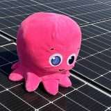Luce e gas: risparmia con l'offerta a tempo di Octopus Energy