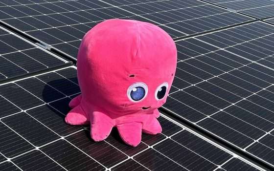 Luce e gas: risparmia con l'offerta a tempo di Octopus Energy