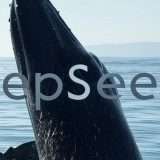 DeepSeek: nessuna protezione contro il jailbreak