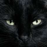 SparkCat: Apple e Google eliminano le app infette