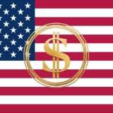 America verso la bancarotta: Musk chiede aiuto al pubblico di DOGE