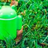 Android 16 beta: nuove funzioni Pro per i fotografi