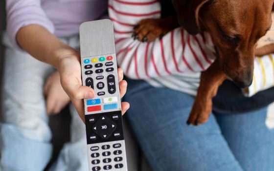 Digitale Terrestre: in una regione arriva una novità particolare