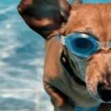 Veo 2 di Google per video AI: costerà 50 centesimi al secondo