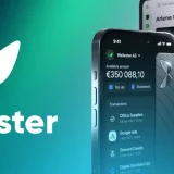 Wallester: il conto aziendale per una gestione finanziaria senza stress