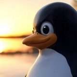 Linux 6.14: rilasciata la quinta release candidate del kernel