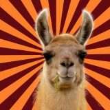 Llama 4 di Meta: in arrivo nuove funzioni vocali