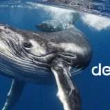 Le migliori estensioni DeepSeek per Google Chrome a confronto