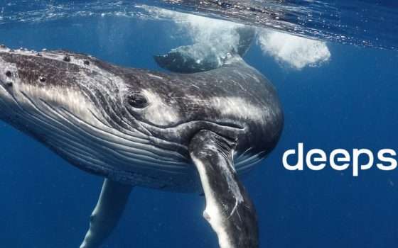 Le migliori estensioni DeepSeek per Google Chrome a confronto