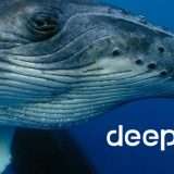 DeepSeek, i modelli AI possono essere redditizi del 545%