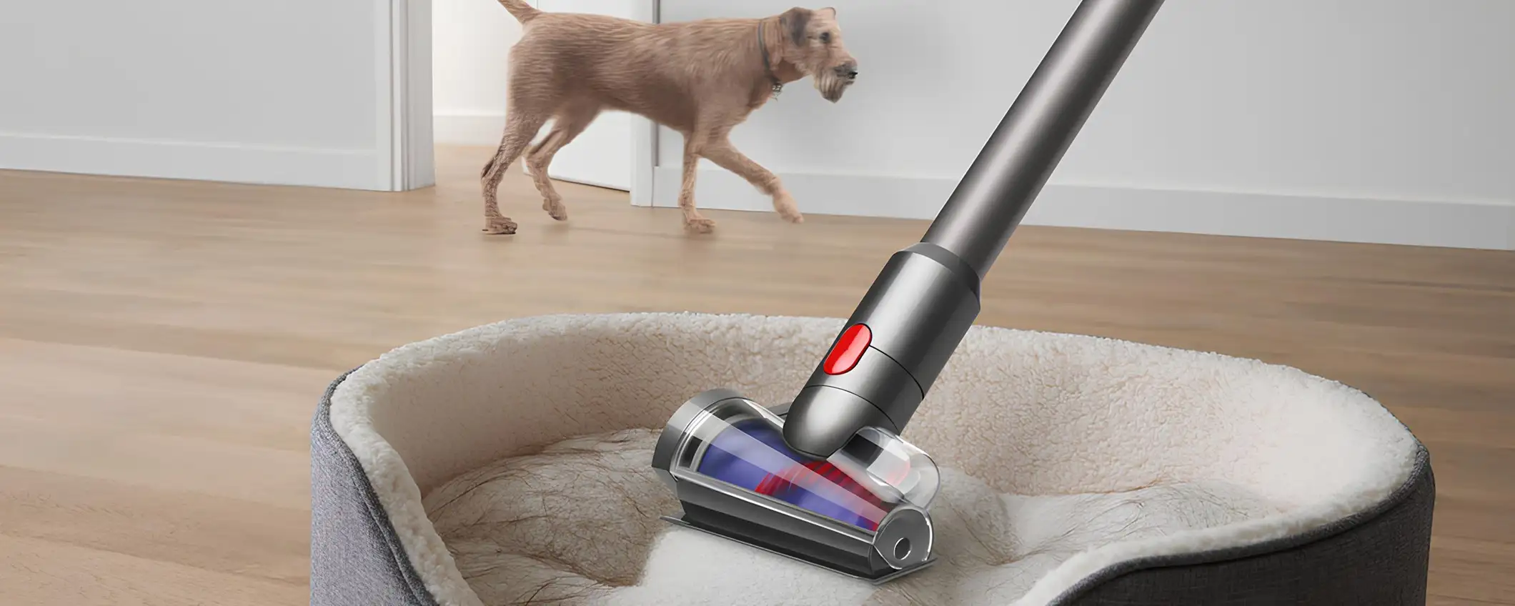 Dyson V8 Absolute in super offerta: solo 299€ (-40%)