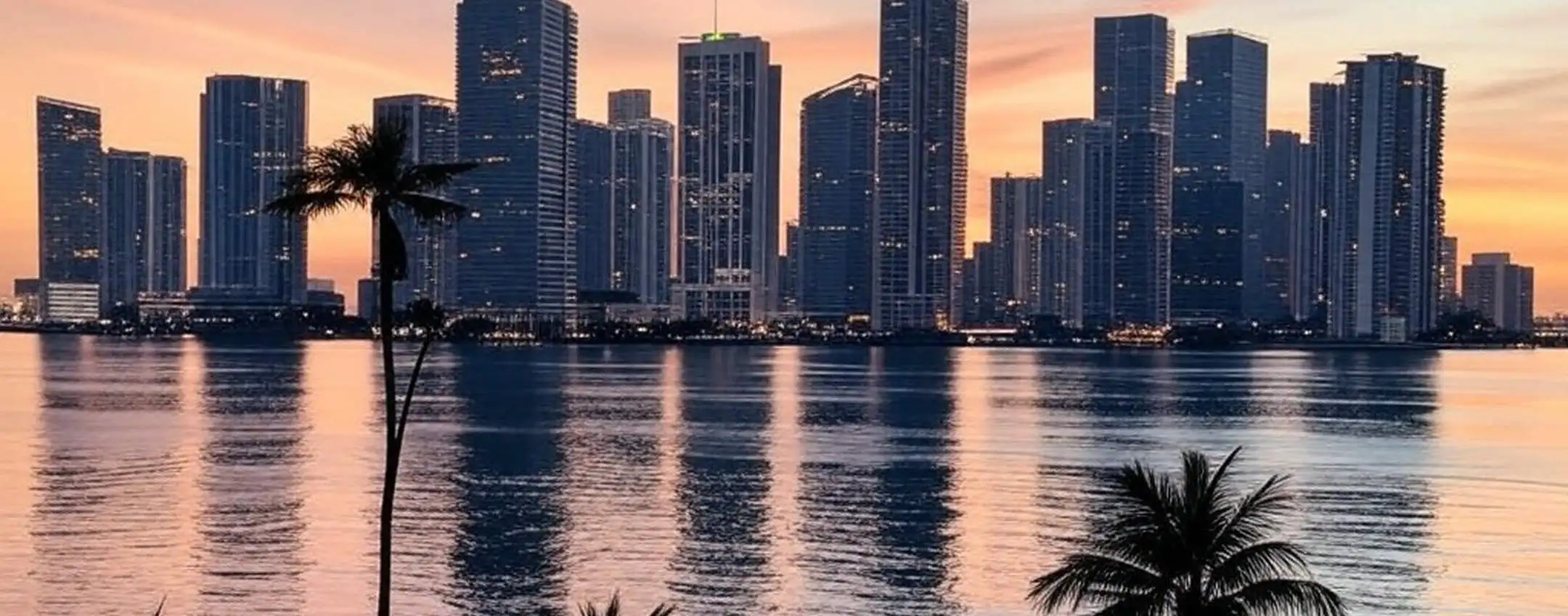 Backdoor obbligatoria per i social media in Florida?