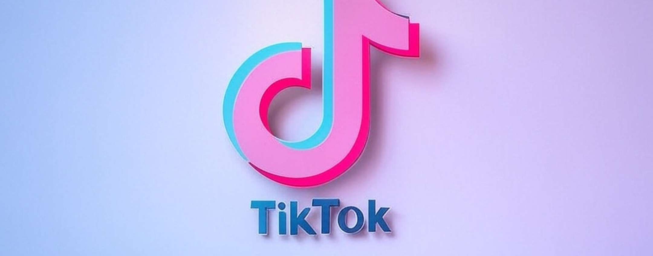 Footnotes sono le note della collettività di TikTok