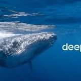 DeepSeek, in arrivo i modelli AI auto-miglioranti