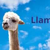 Llama 4, Meta nega di aver gonfiato i risultati dei benchmark