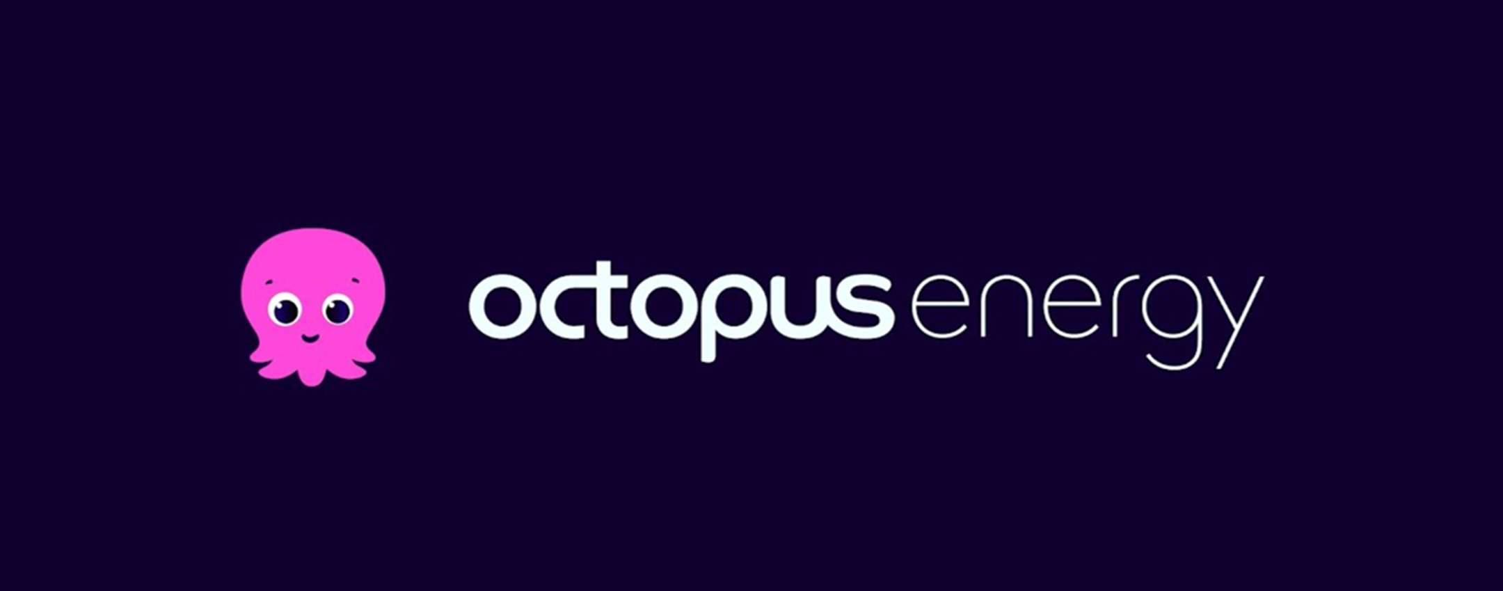 Risparmiare su luce e gas è possibile: ecco le proposte di Octopus