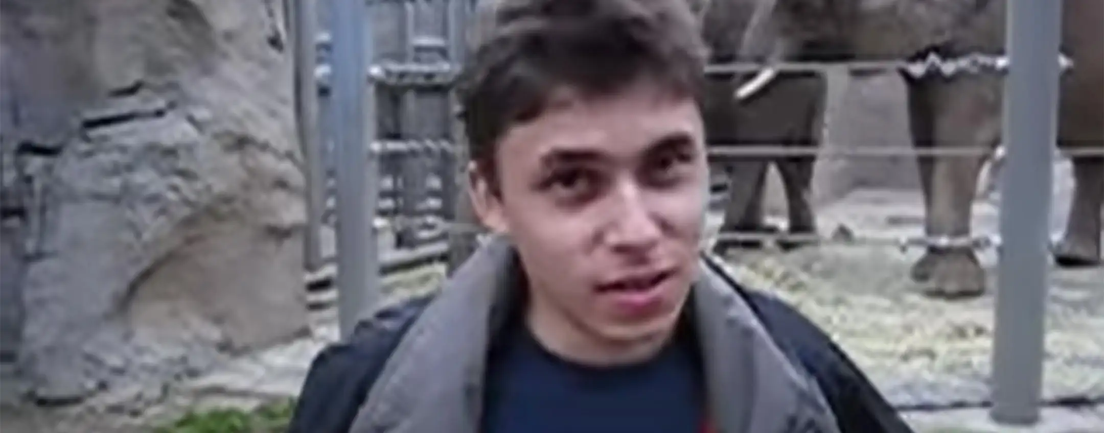 Me at the zoo: 20 anni fa, il primo video su YouTube