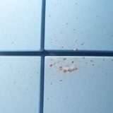 FileFix: attacco ClickFix con Esplora file di Windows