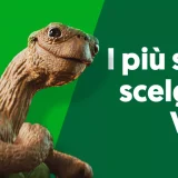 Passa a Very Mobile e ottieni 150 Giga 5G a 5,99€ al mese