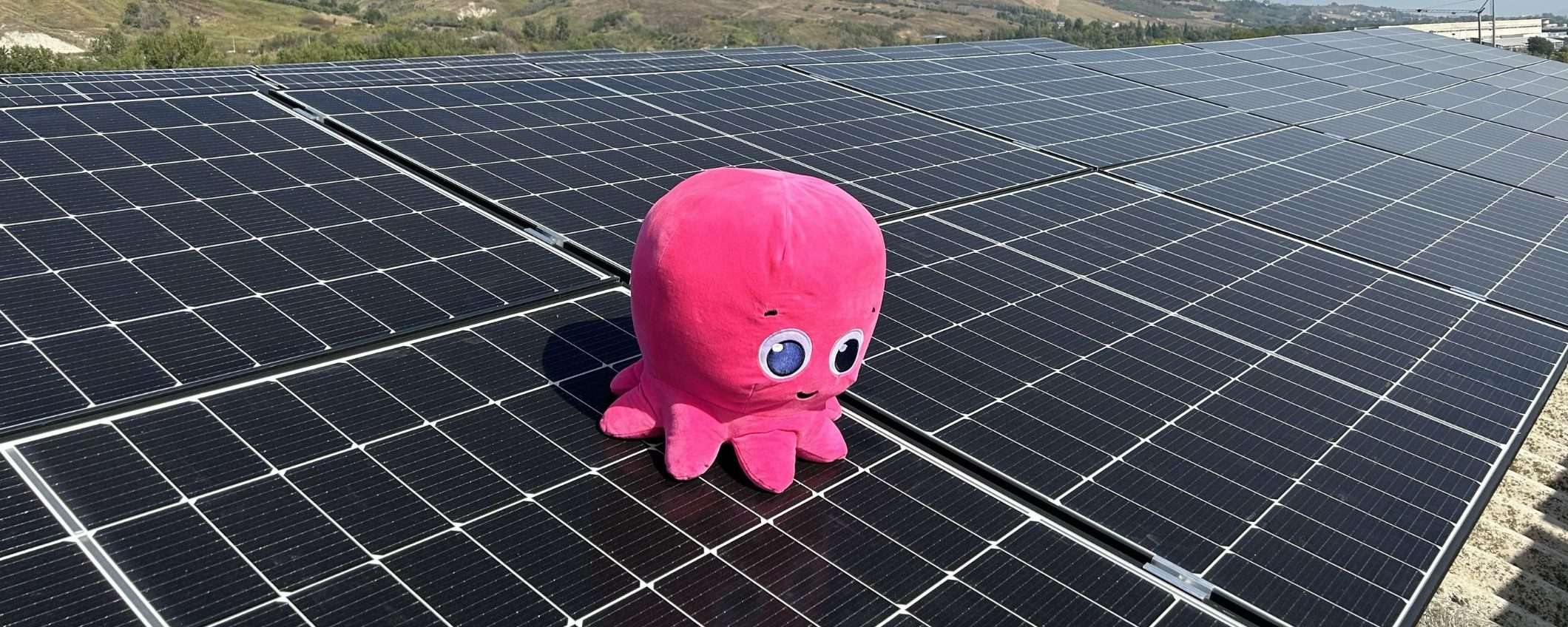 Octopus è l'energia rinnovabile con il miglior servizio clienti sul mercato: scopri perché