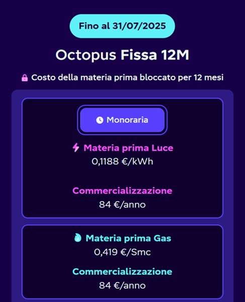 octopus fissa 12 mesi 31 luglio 2025