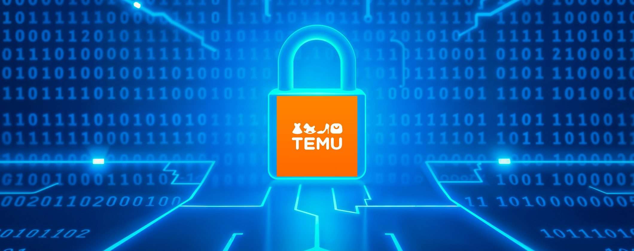 TEMU e privacy: davvero è l'app meno invasiva?