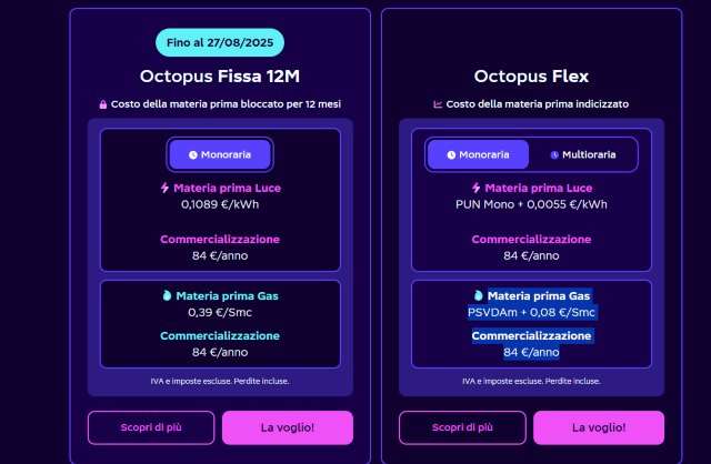 Offerte Octopus Energy