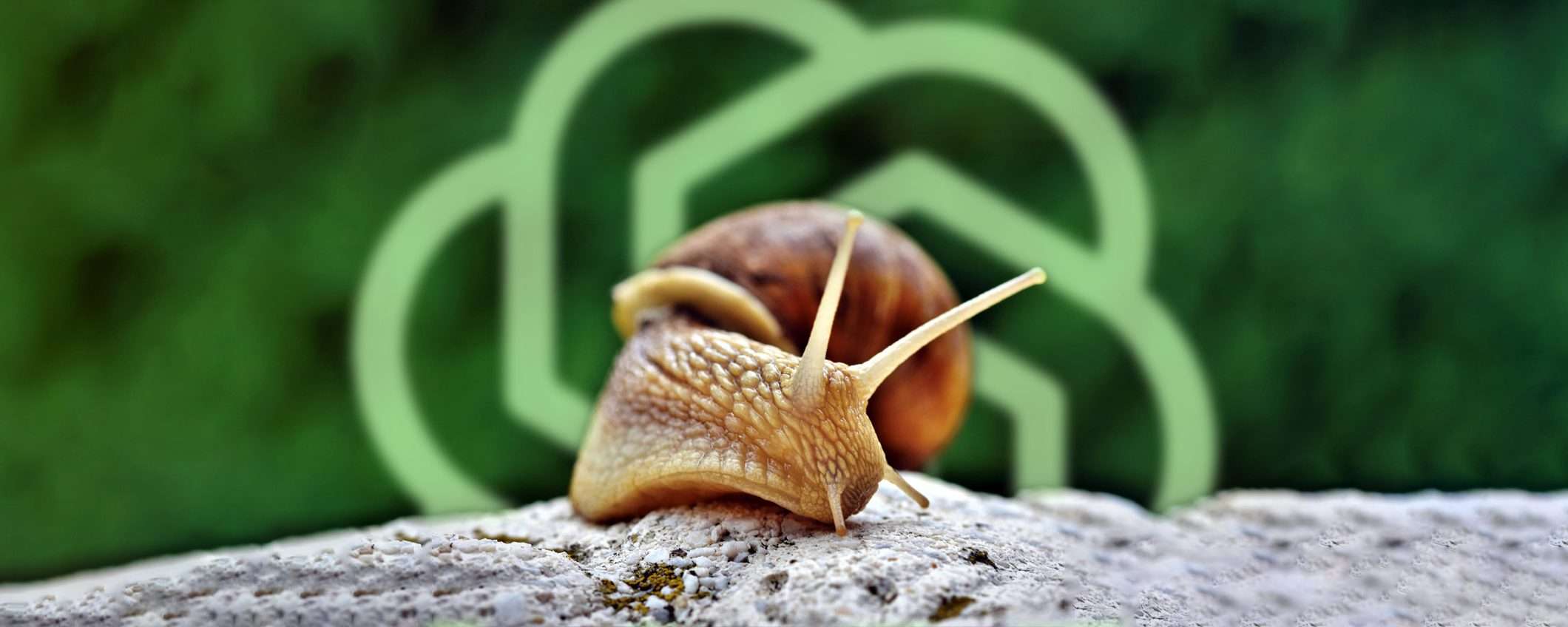 Ecco perché ChatGPT potrebbe sembrarti più lento