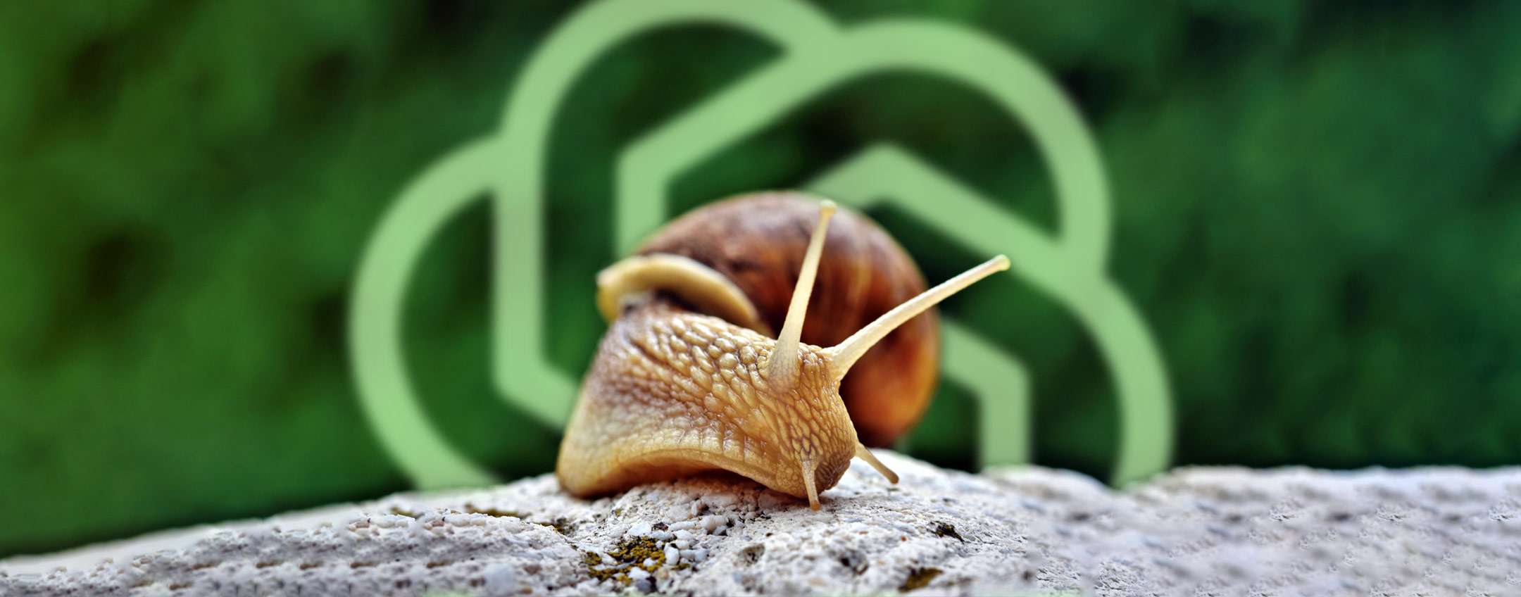 Ecco perché ChatGPT potrebbe sembrarti più lento