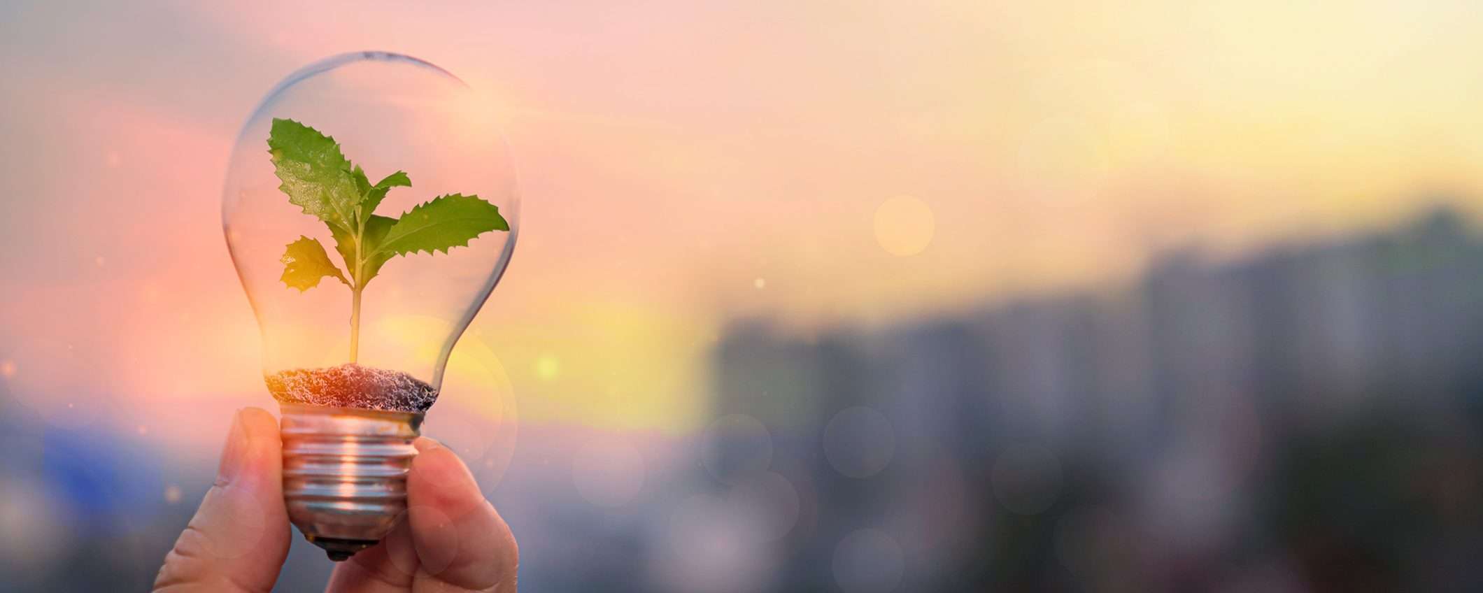 Con Octopus Energy blocchi i rincari in bolletta per un intero anno