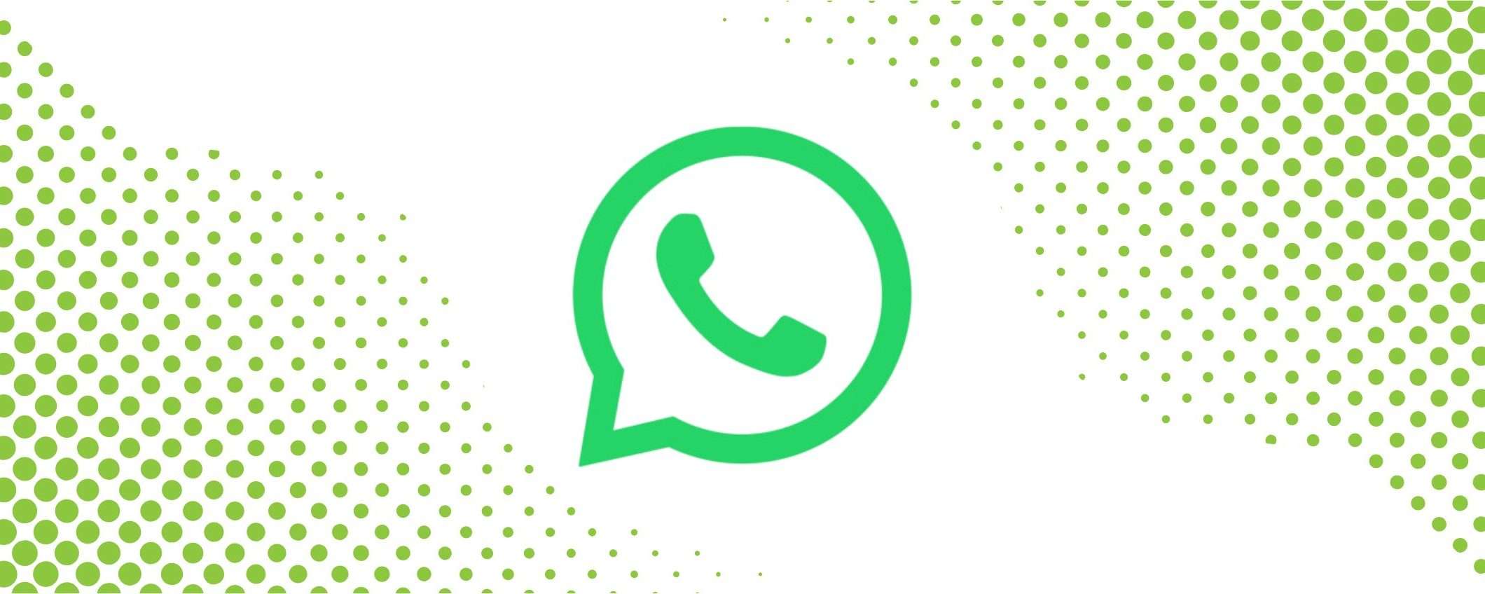 WhatsApp, Stati a tempo nella sezione Info del profilo