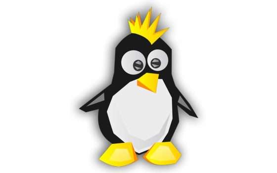 Linux 6.17 RC7 anticipa la versione stabile la prossima settimana