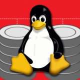 Linux 6.18 supporterà le scritture atomiche su Linear RAID