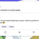 Mastodon introduce le citazioni dei post (update)