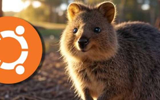 Ubuntu 25.10 disponibile in beta con Linux 6.17 e GNOME 49