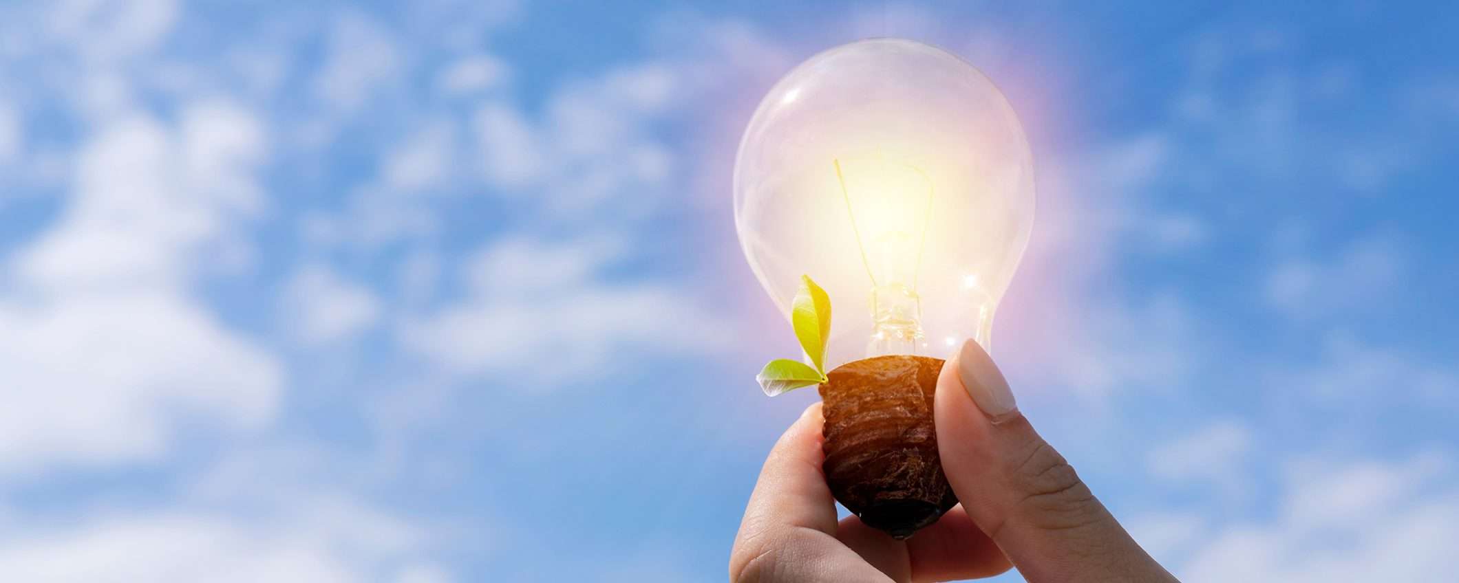 Blocca i costi di luce e gas per un anno con Octopus Energy: attiva online senza vincoli